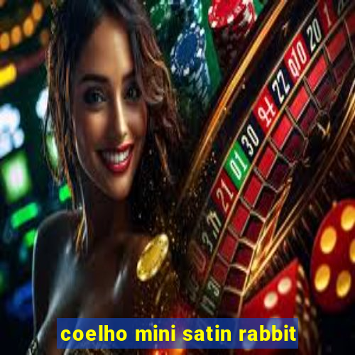 coelho mini satin rabbit